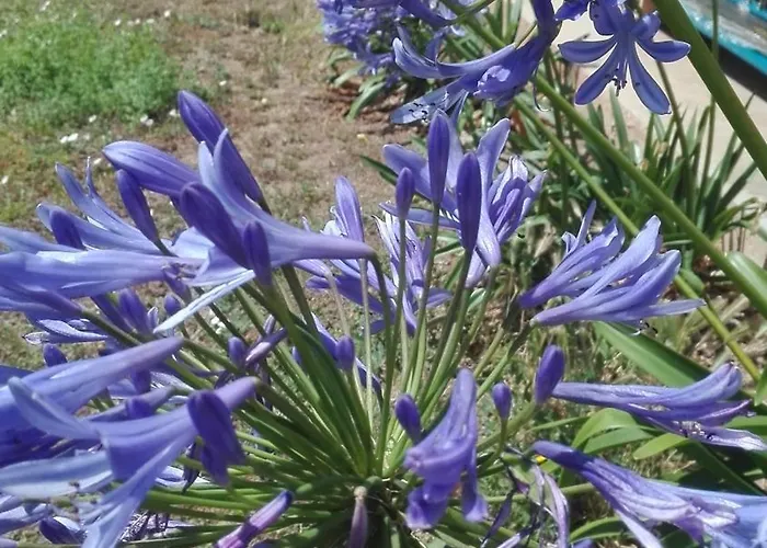 Apartment Costa Costa Suances